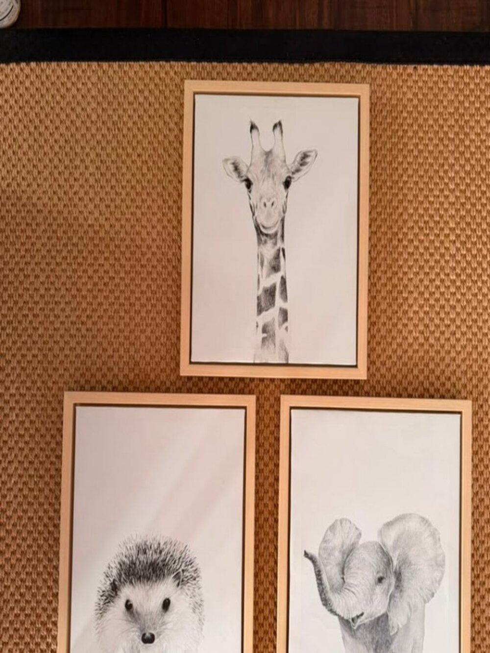 Baby Animal Framed Canvas Wall Art Set Elephant Giraffe Hedgehog 11x14 - Picture 4 of 13